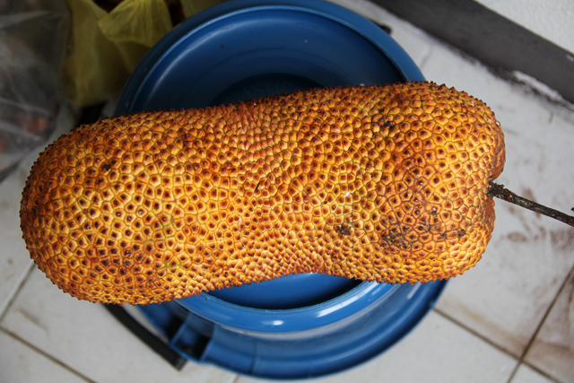 Cempedak Fruit Cempedak Fruit